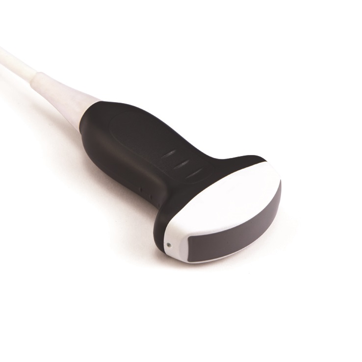 Convex Probe 1
